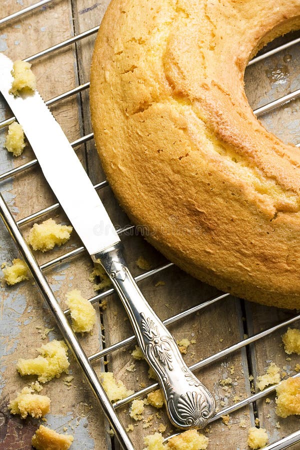 Angel Food Cake on Oven Rack Stock Photo Image of brown, closeup