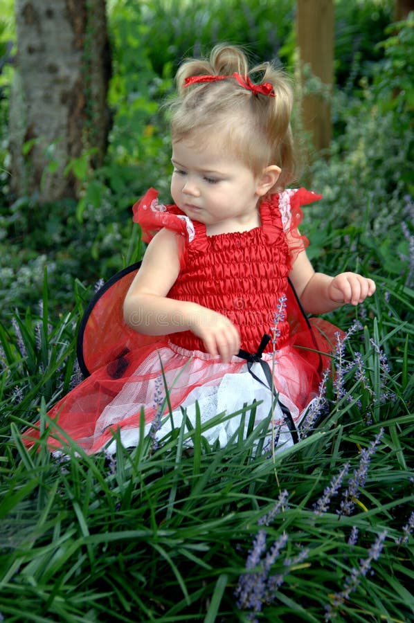 Baby girl dressed in ladybug costume stands in the flowers with red wings. Baby girl dressed in ladybug costume stands in the flowers with red wings.