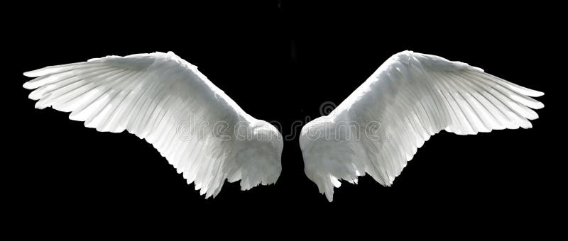 MEDIUM, LARGE PLEASE SELECT REBORN FEATHER WINGS SMALL 