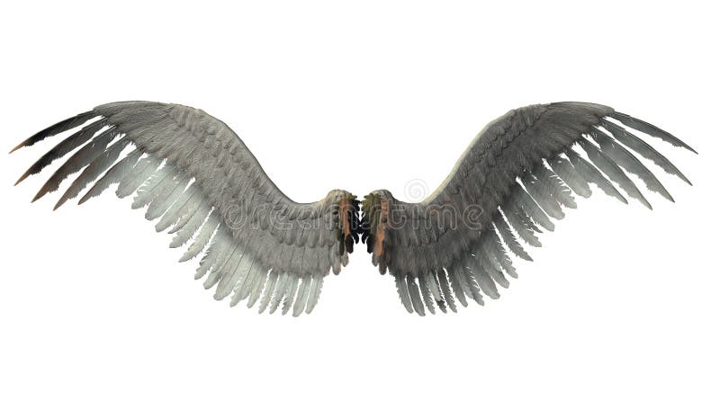 Angel wings