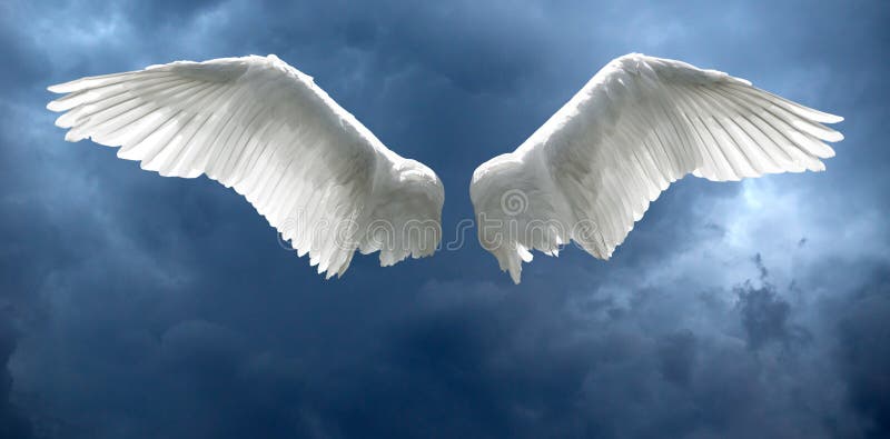 Angel Wings Wallpapers - Wallpaper Cave