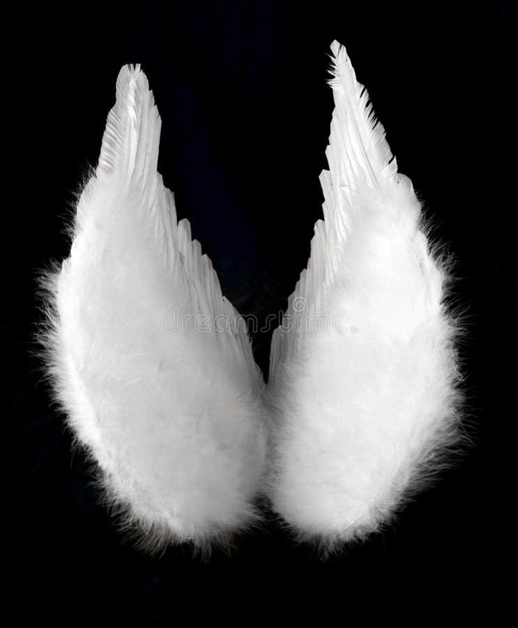 Angel Side View Wings Stock Illustrations – 110 Angel Side View