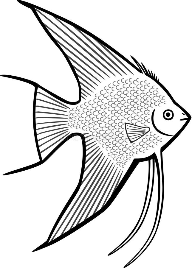 Треугольная рыба рисунок