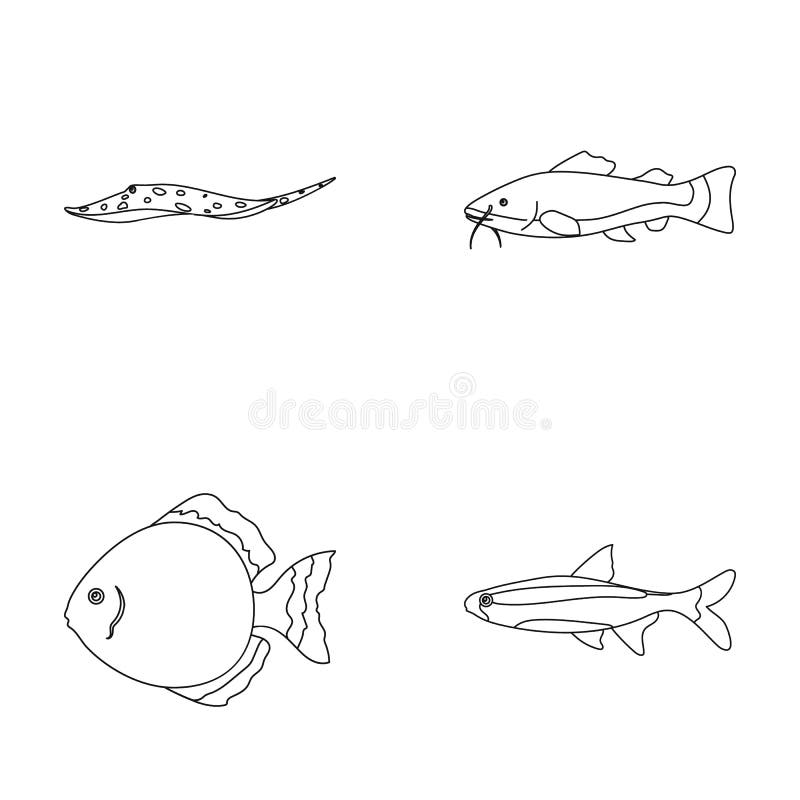 Angelfish, błonie, barbus, neonowy Ryba ustalone inkasowe ikony w konturu stylu wektorowym symbolu zaopatrują ilustracyjną sieć ilustracja wektor Angelfish, błonie, barbus, neonowy Ryba ustalone inkasowe ikony w konturu stylu wektorowym symbolu zaopatrują ilustracyjną sieć ilustracja wektor