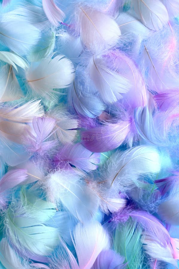 Angelic Pastel Tinted Blue Feather Background - Small Fluffy Blue ...