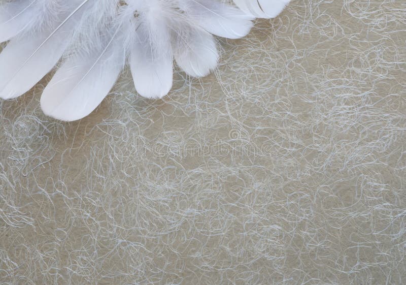 Angelic White Feather Corner Background image stock Angelic White Feather Corner Background image stock