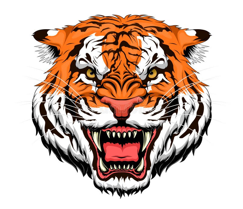Anger tiger vector illustration