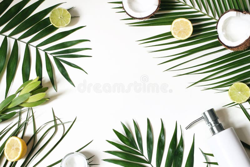 Angeredeter Schönheitsrahmen, Netzfahne Enthäuten Sie Creme, Seifenflasche, Kokosnuss, Zitronen und Kalkfrucht auf üppigen Palmbl stockfotografie
