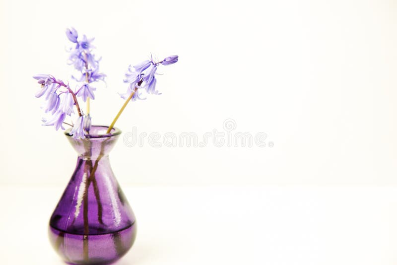 Angeredetes Blumenbild auf Lager lizenzfreie stockbilder Angeredetes Blumenbild auf Lager lizenzfreie stockbilder