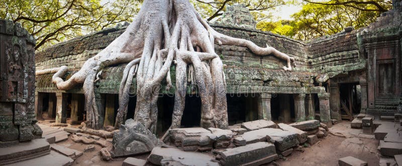 Angkor Wat Cambodia. Ta Prohm Khmer ancient Buddhist temple