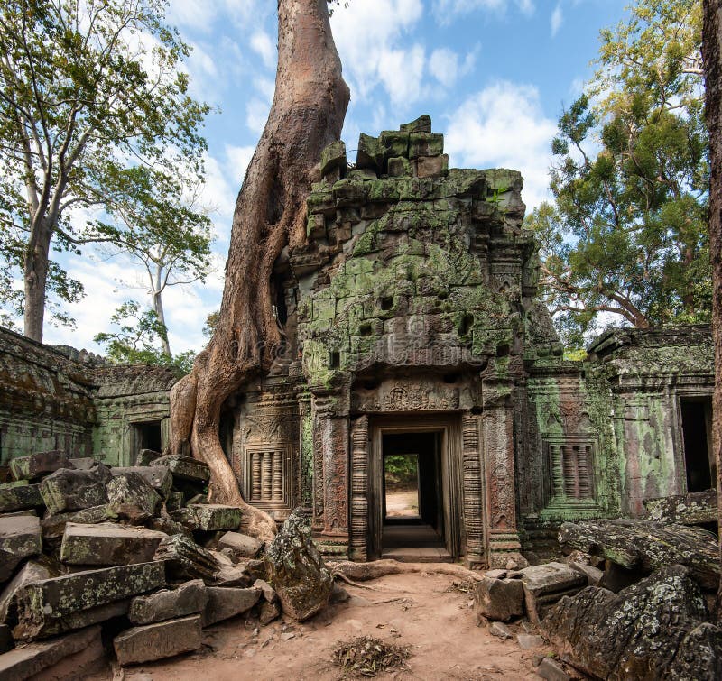 Angkor Wat Cambodia. Ta Prohm Khmer ancient Buddhist temple