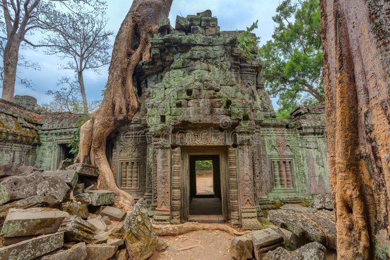 Angkor Wat Cambodia Templo budista antigo do Khmer de Ta Prohm imagem de stock Angkor Wat Cambodia Templo budista antigo do Khmer de Ta Prohm imagem de stock
