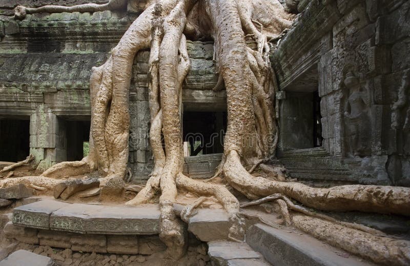 Angkor Wat - temple de Ta Prohm - le Cambodge images stock Angkor Wat - temple de Ta Prohm - le Cambodge images stock