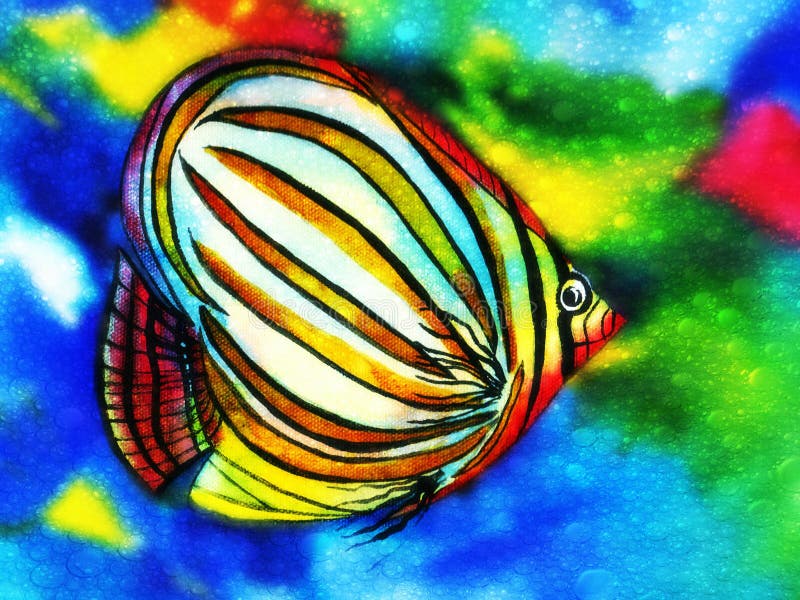 small tropical fish with a brightly coloured compressed body