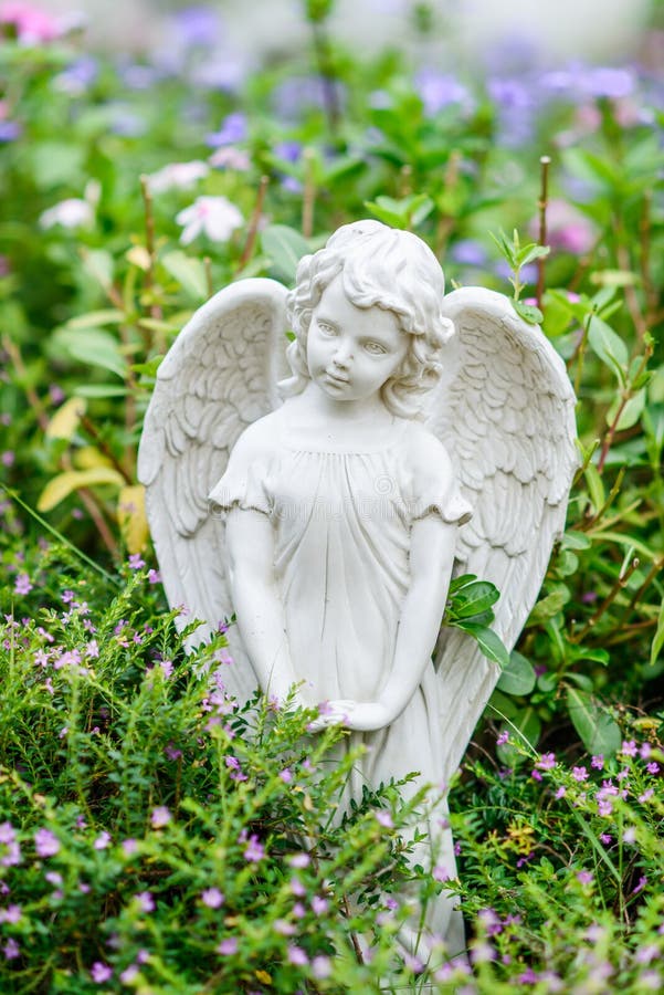 Angle wing in garden. stock photo. Image of isolated 45924738