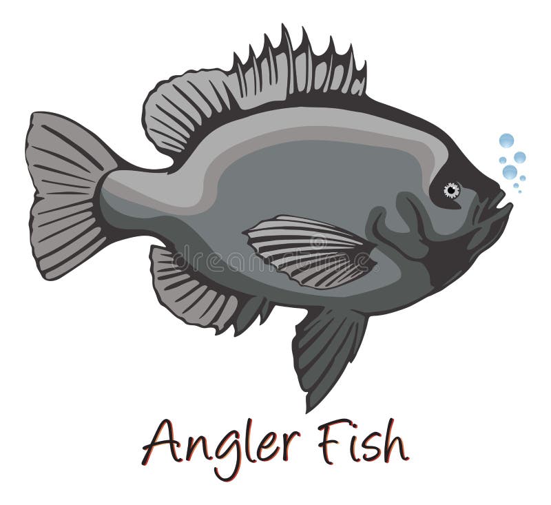 Anglerfish Fish Stock Illustrations – 679 Anglerfish Fish Stock  Illustrations, Vectors & Clipart - Dreamstime