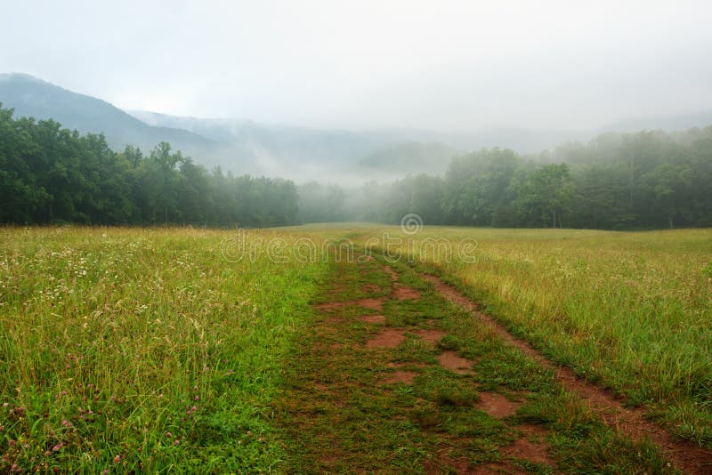 Cades Cove, The Great Smoky Mountains National Park a pathway through the meadow into the fog and mountains. Cades Cove, The Great Smoky Mountains National Park a pathway through the meadow into the fog and mountains.
