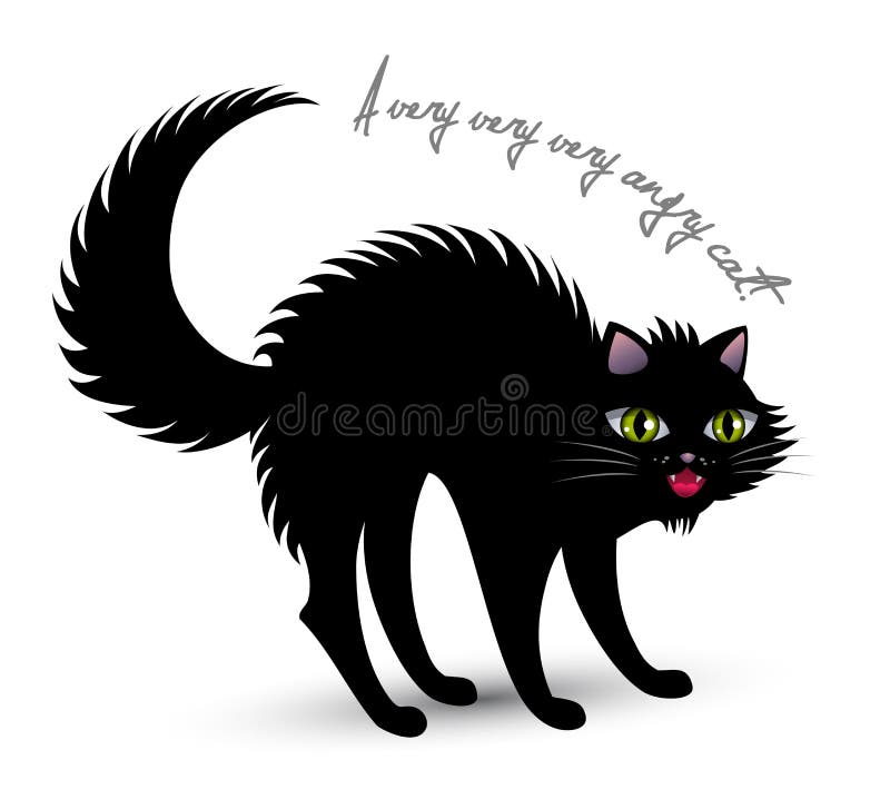 Angry cat stock vector. Illustration of eyes, kitten - 44383362