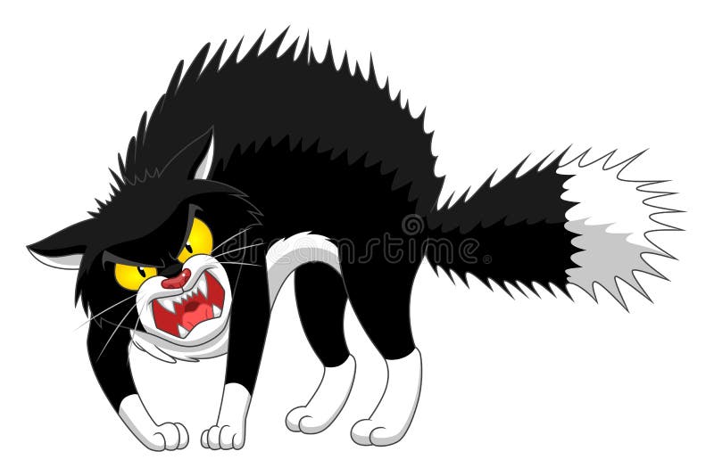 Angry cat stock vector. Illustration of cute, isolated - 85598171