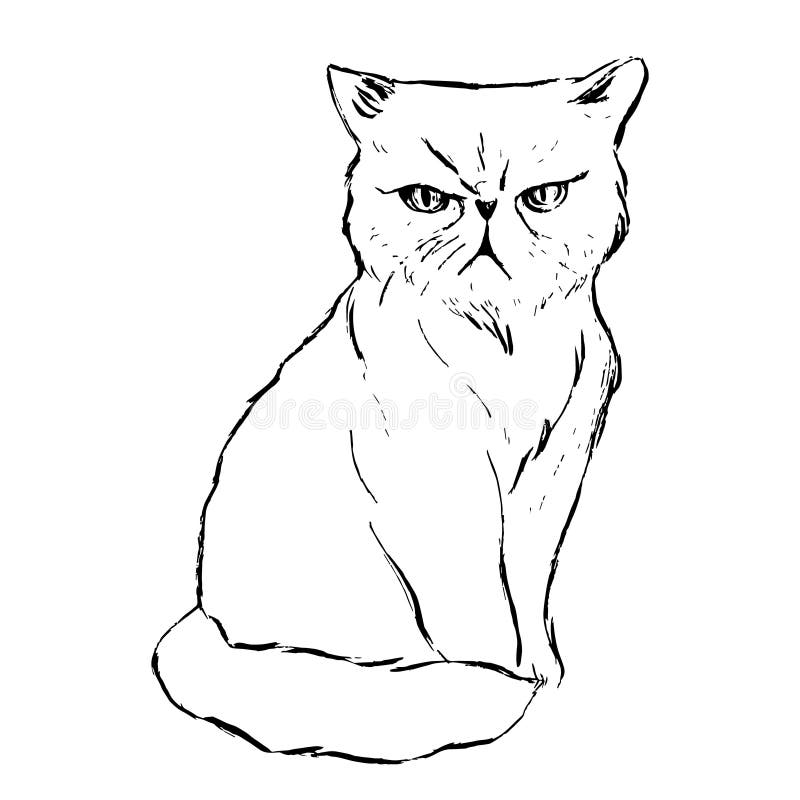 an angry cat illustration. a hand drawn illustration of a wild