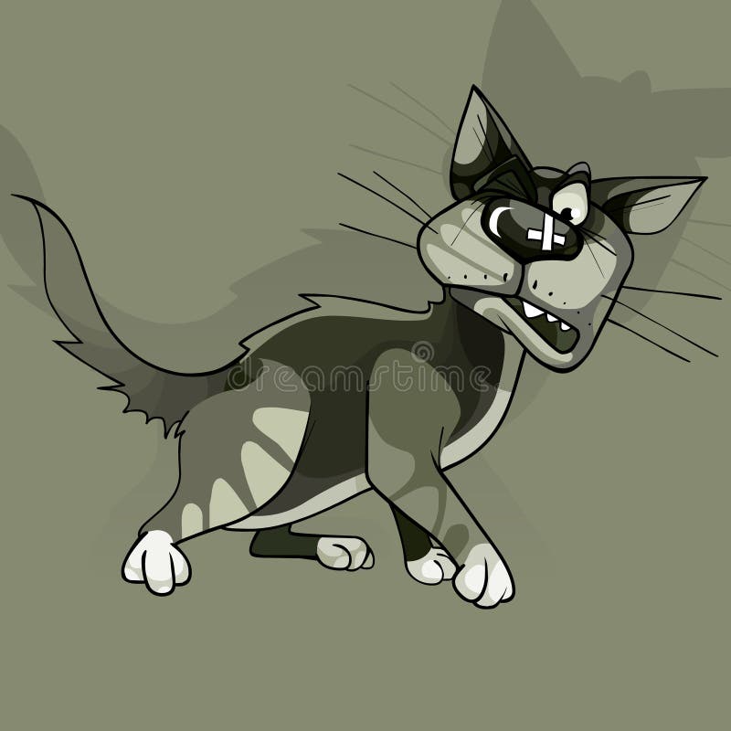 Angry evil furry fluffy courtyard cat royalty free illustration Angry evil furry fluffy courtyard cat royalty free illustration