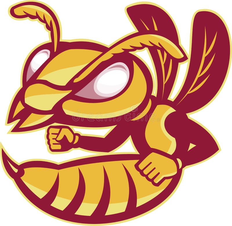 Cartoon muscular hornet mascot isolated on white b