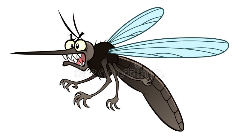 Angry mosquito stock vector. Illustration of gnat, mosquito - 66834460 Angry mosquito stock vector. Illustration of gnat, mosquito - 66834460