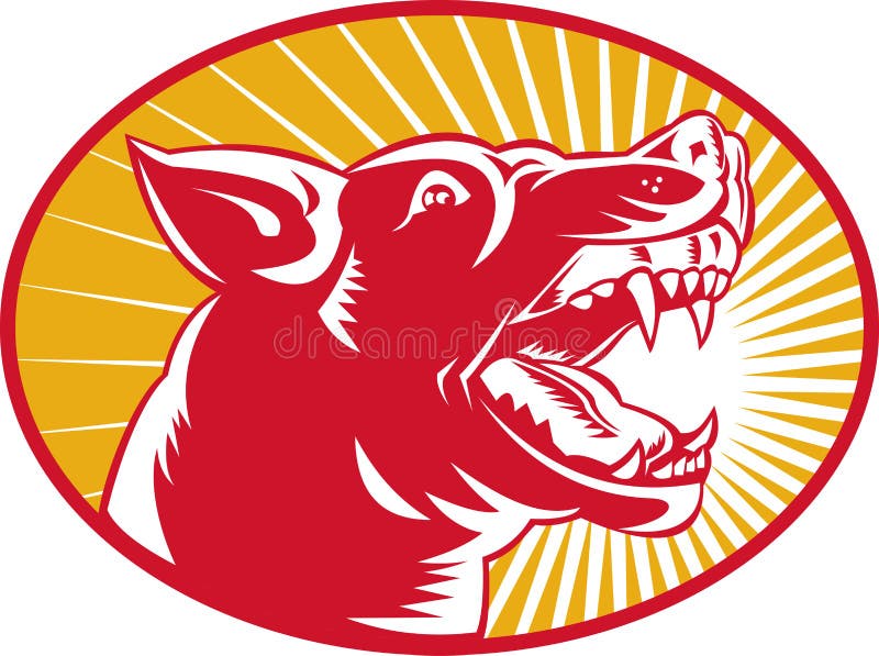 Illustration of an angry wild dog wolf growling woodcut set inside oval with sunburst in background. Growling dog illustrations