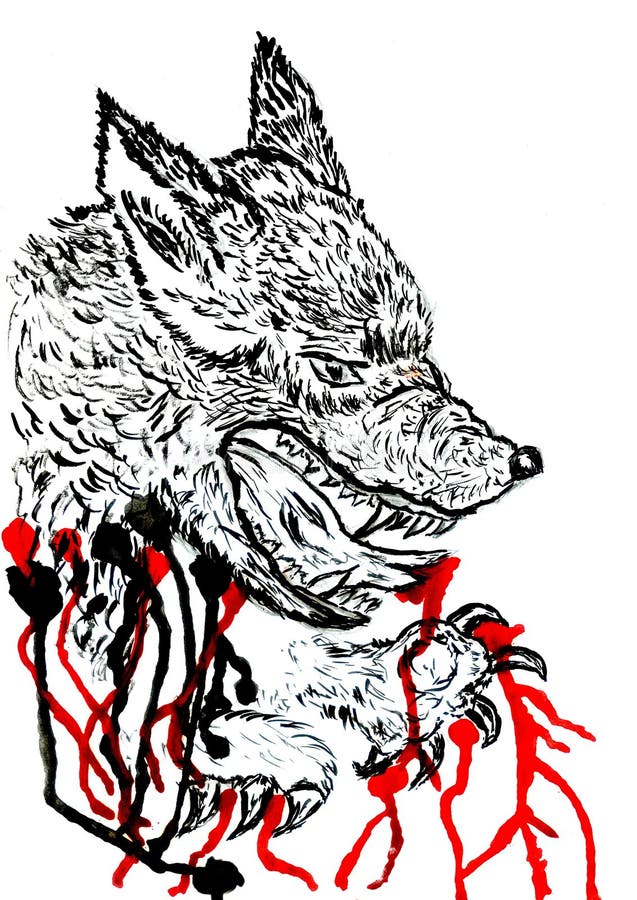 Sketch Wolf Stock Illustrations 3321 Sketch Wolf Stock