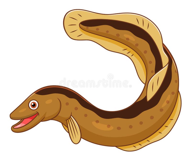 Anguila Ilustraciones Stock, Vectores, Y Clipart – (4,673 Ilustraciones