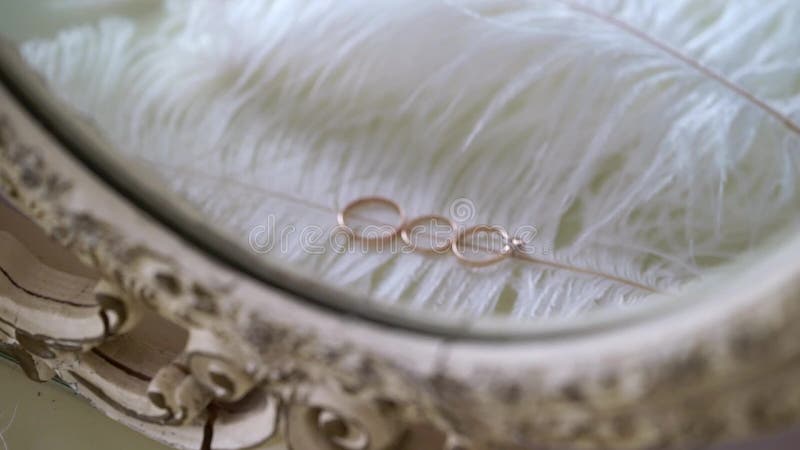 Anillos de boda Pareja de símbolos matrimoniales Amor por el hecho de que la novia y el novio se conviertan en esposa y marido Sí