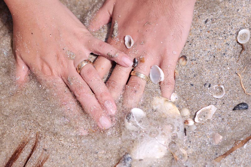 Anillos de bodas con los shelles imágenes de archivo libres de regalías Anillos de bodas con los shelles imágenes de archivo libres de regalías