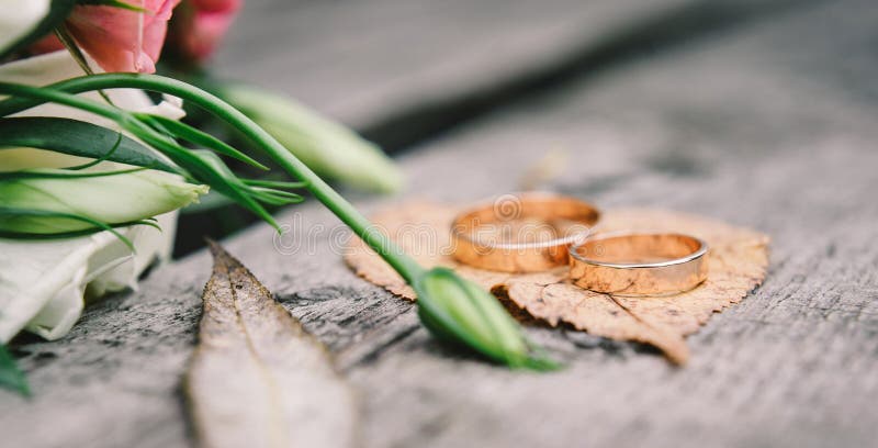 Anillos de bodas del oro en naranja, licencia de otoño fotografía de archivo Anillos de bodas del oro en naranja, licencia de otoño fotografía de archivo