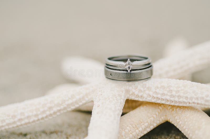 Anillos de bodas en estrellas de mar imagenes de archivo Anillos de bodas en estrellas de mar imagenes de archivo