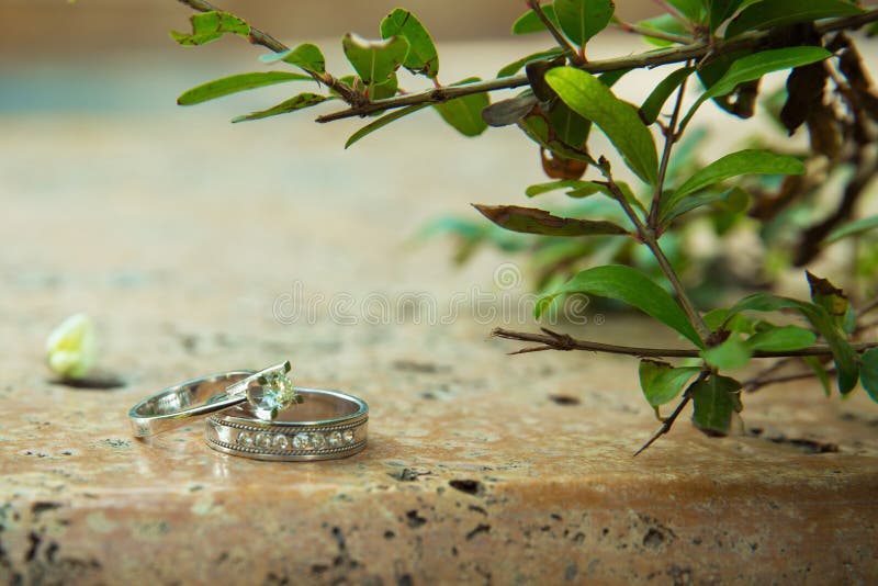 Anillos de compromiso en la naturaleza, fondo verde Historia de amor Anillos de bodas en un fondo hermoso de la rama de la hoja E imágenes de archivo libres de regalías Anillos de compromiso en la naturaleza, fondo verde Historia de amor Anillos de bodas en un fondo hermoso de la rama de la hoja E imágenes de archivo libres de regalías