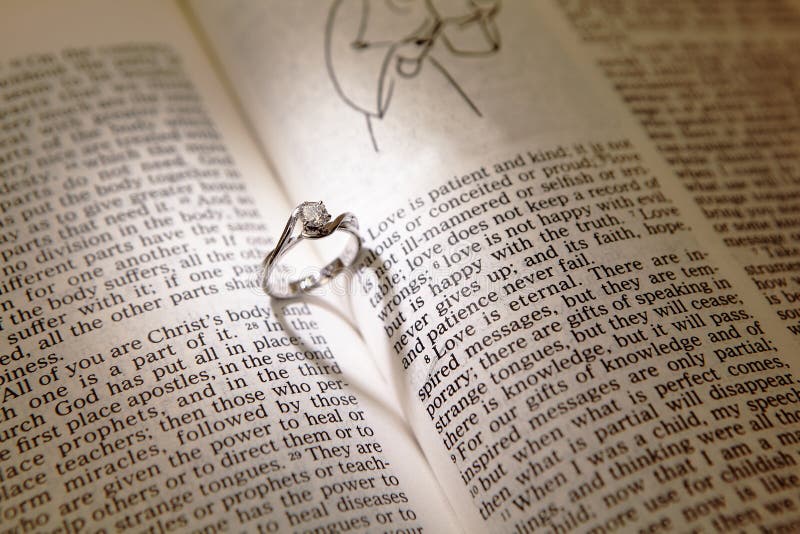 Anillos de diamante de la boda en una biblia