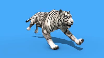 Tigre Branco Grandes Roar Animais Verde Frontal Tela 3d