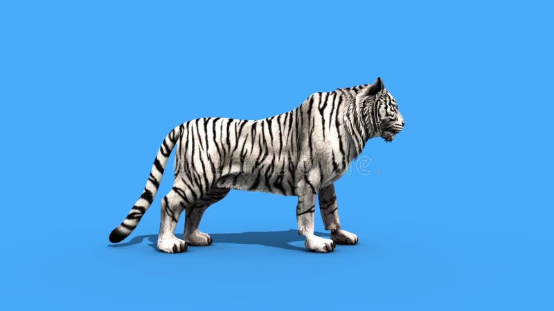 Tigre Branco Grandes Roar Animais Verde Frontal Tela 3d