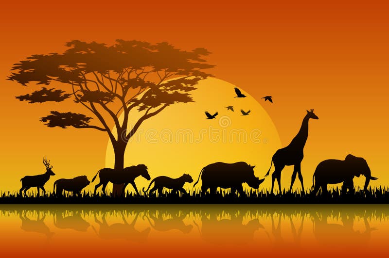 Animais da silhueta em savanas do lago no por do sol ilustração royalty free Animais da silhueta em savanas do lago no por do sol ilustração royalty free