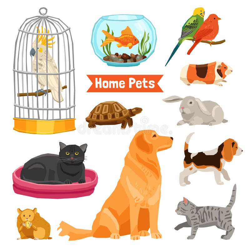 Animais de estimação home ajustados ilustração do vetor Animais de estimação home ajustados ilustração do vetor