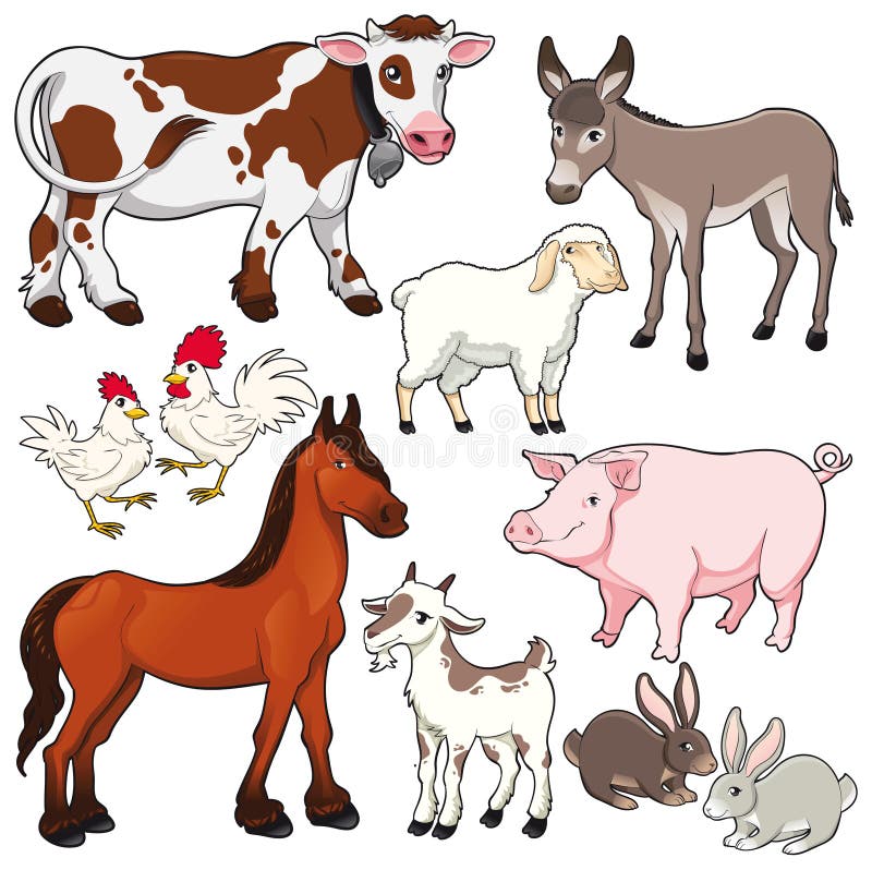 Farm animals. Vector and cartoon isolated characters. Farm animals. Vector and cartoon isolated characters.