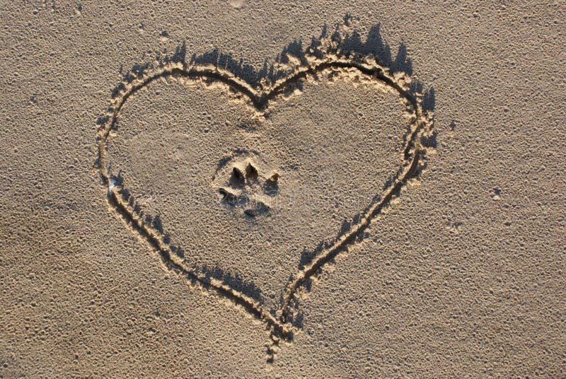 Ame os animais foto de stock