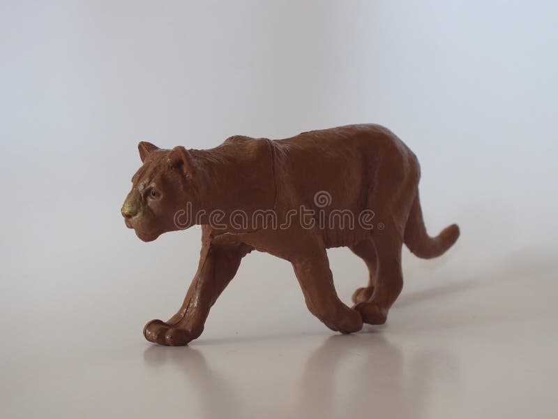 Animais do brinquedo das crianças em casa foto de stock royalty free Animais do brinquedo das crianças em casa foto de stock royalty free
