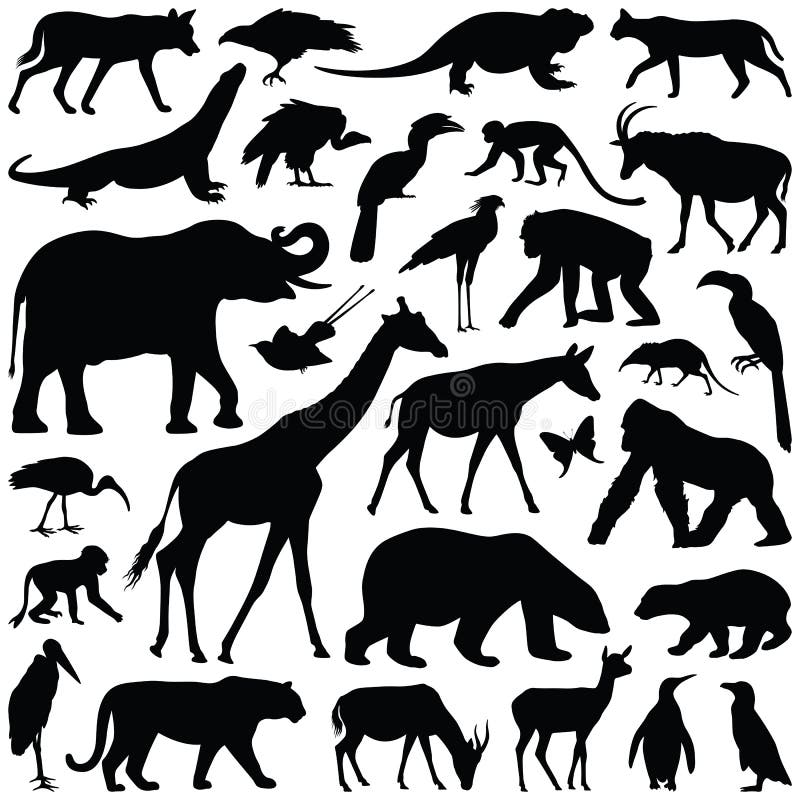 Animais do jardim zoológico ilustração royalty free Animais do jardim zoológico ilustração royalty free