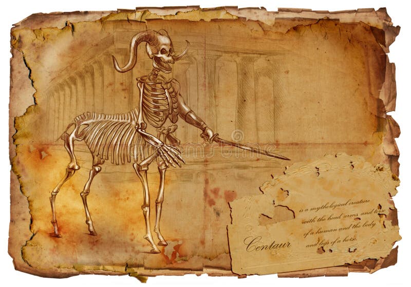 Illustration of a series of legendary animals and monsters (skeleton): CENTAUR. An hand drawn and painted full sized illustration (Original). Version: Drawing on old vintage paper with text. Background: slightly blurry, Lines: sharp. Illustration of a series of legendary animals and monsters (skeleton): CENTAUR. An hand drawn and painted full sized illustration (Original). Version: Drawing on old vintage paper with text. Background: slightly blurry, Lines: sharp.