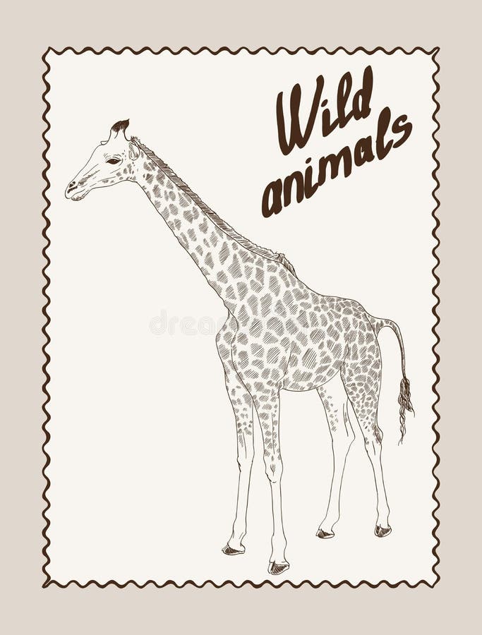 Dois Animais Girafa E Leão Jogando Xadrez Ilustração Stock - Ilustração de  oponente, arte: 275164655