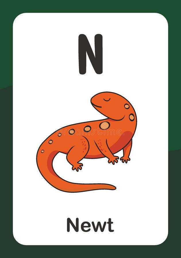 Animal Alphabet Flash Card - N for Newt Stock Vector - Illustration of  exotic, alphabet: 229899259