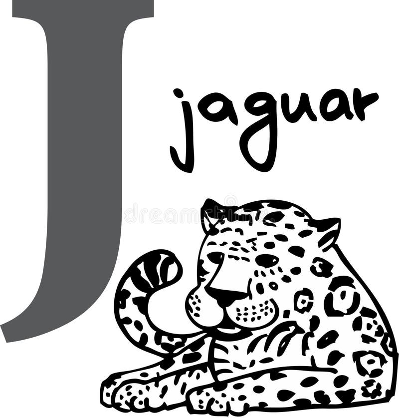 Animal alphabet J (jaguar) stock vector. Illustration of word - 7596455