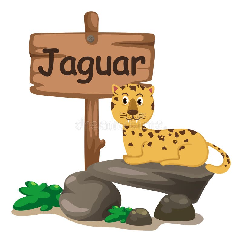 Animal Alphabet Letter J for Jaguar Stock Vector - Illustration of