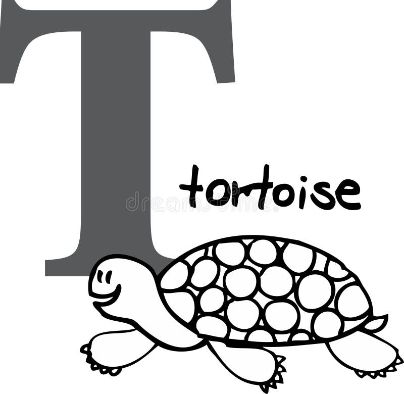 Animal alphabet T (tortoise)